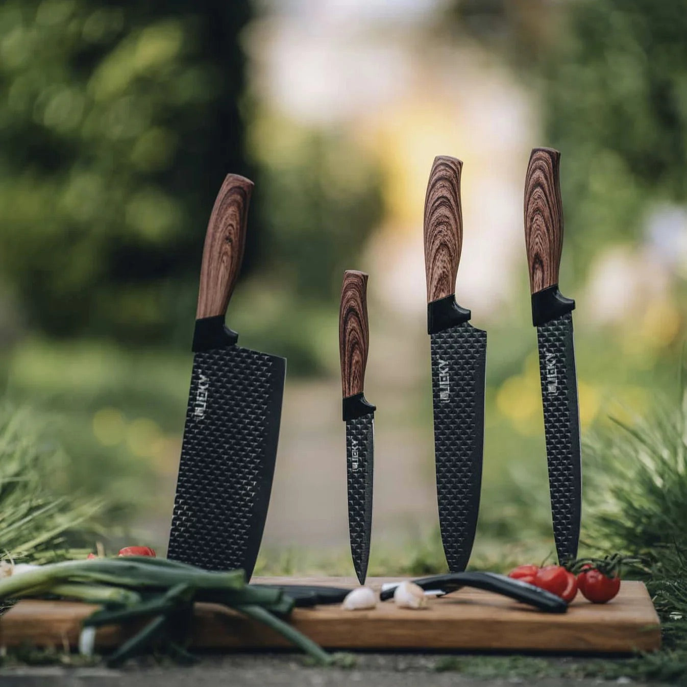 Set de couteaux Gourmet (6 pièces)